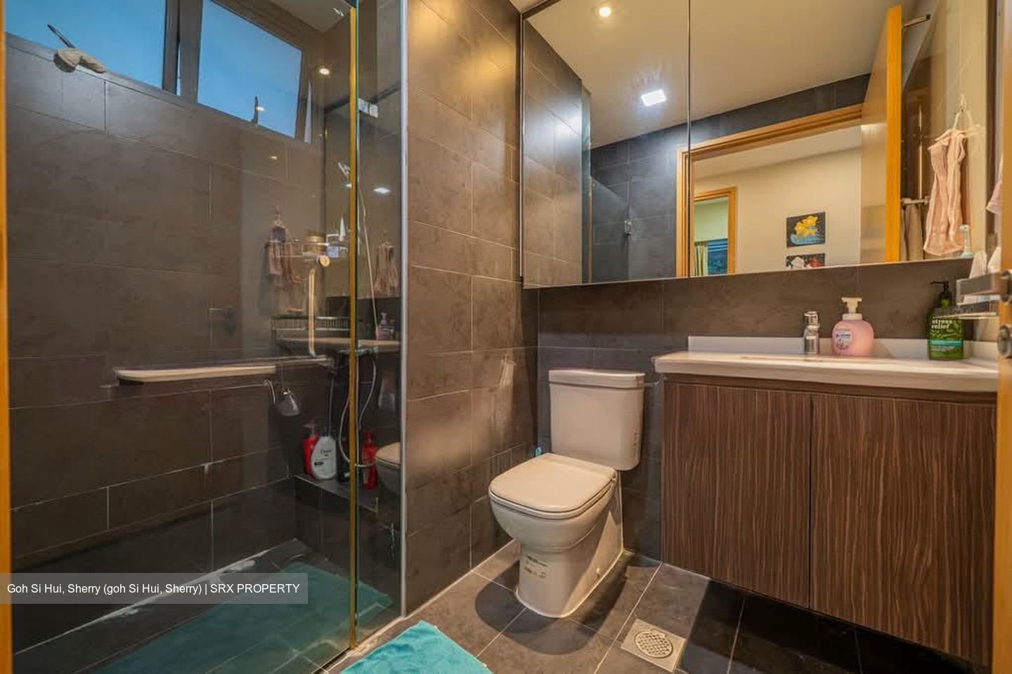 Parc Olympia (D17), Condominium #570019031
